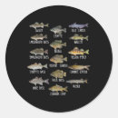 Search for freshwater stickers Animal