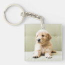 Search for cute golden retriever keychains Animal