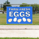 Search for eggs for sale signs Farm fresh eggs