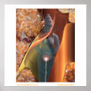 Search for god buddha posters Spiritual