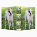 Search for boxer binders Pet