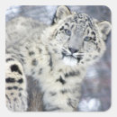 Search for cat claw stickers Feline