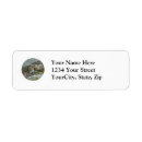 Search for chipmunk return address labels Rodent