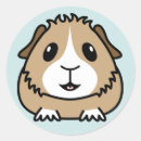 Recherche de cobaye autocollants Piggie