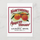 Recherche de brandy cartes postales Vintage