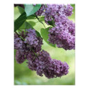 Search for purple tree art Garden