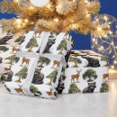 Search for raccoon wrapping paper Kids