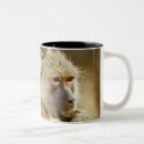 Search for baboons mugs Outdoors