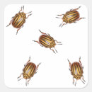 Search for funny bug stickers Cute