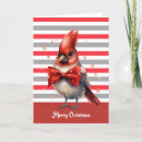 Search for red cardinal christmas cards Red and white