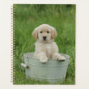 Recherche de seau bureau fournitures Mignonette