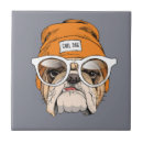 Recherche de bouledogue français carreaux Chiot