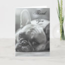 Recherche de chiot bouledogue français vœux cartes Chien