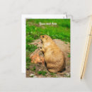 Search for good job postcards Cute