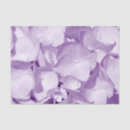 Search for lavender hydrangeas photography Flowers