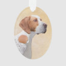 Search for pointer dog ornaments Puppy