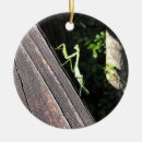 Search for praying mantis ornaments Nature