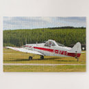 Search for tail dragger Plane