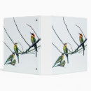 Search for branches binders Nature