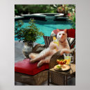 Search for swimming pools posters Tropical