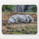 Recherche de mares tapis souris Équine