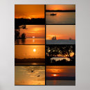 Search for bright sun posters Colours