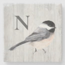 Search for bird coasters Simple