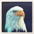 Recherche de aigle dessous de verres Oiseaux