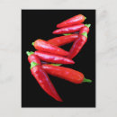 Recherche de chilis cartes postales Capsicum