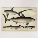 Recherche de de requin jouets sports Pour tous