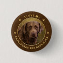Search for baying buttons Chesapeake bay retriever