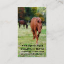 Search for equine image business cards Stables