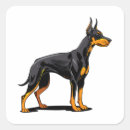 Recherche de dobermann autocollants Race