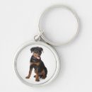 Search for rotties keychains Puppies