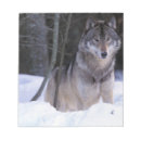 Recherche de loup blocsnotes Neige