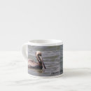 Recherche de pélicans tasses Animal