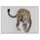 Search for cat cookware Leopard