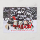 Search for singing cats christmas cards Humour