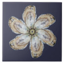 Recherche de huître carreaux Coquille