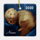 Recherche de belette ornements Animal