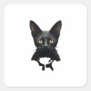 Search for install stickers Whimsigoth