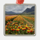 Search for rural ornaments Nobody