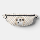 Recherche de jack russell sacs Parson russell terrier