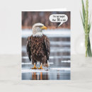 Search for eagle birthday cards Wildlife