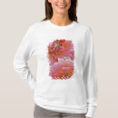 Search for spp Flower