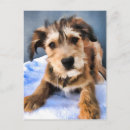 Search for adoption christmas cards Shelter