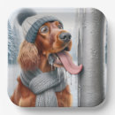 Search for frozen paper plates Winter