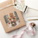 Search for riding a motorcycle stickers Animal