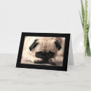 Search for black pug cards Puppies