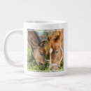 Search for colts mugs Foal